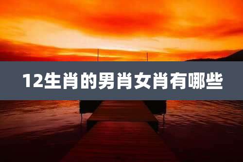 12生肖的男肖女肖有哪些