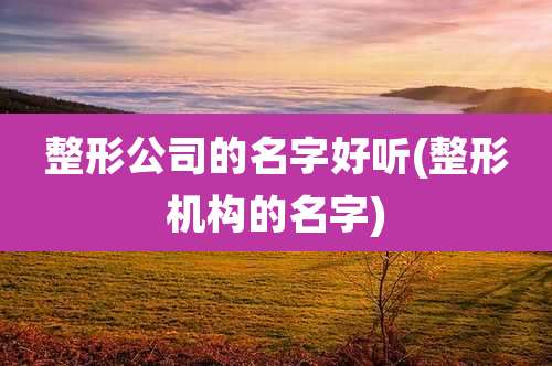整形公司的名字好听(整形机构的名字)