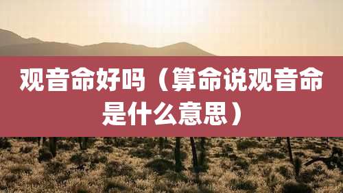 观音命好吗（算命说观音命是什么意思）