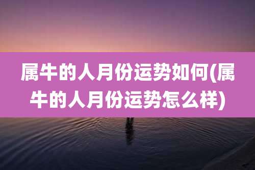 属牛的人月份运势如何(属牛的人月份运势怎么样)