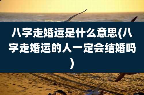 八字走婚运是什么意思(八字走婚运的人一定会结婚吗)