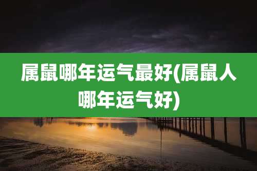 属鼠哪年运气最好(属鼠人哪年运气好)