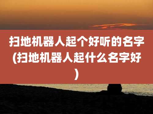 扫地机器人起个好听的名字(扫地机器人起什么名字好)