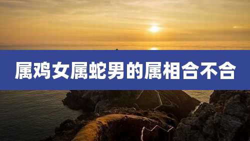 属鸡女属蛇男的属相合不合