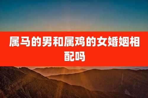属马的男和属鸡的女婚姻相配吗