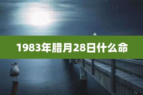 1983年腊月28日什么命