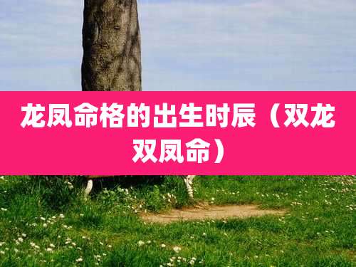 龙凤命格的出生时辰（双龙双凤命）