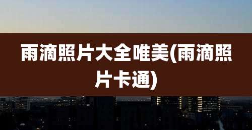 雨滴照片大全唯美(雨滴照片卡通)