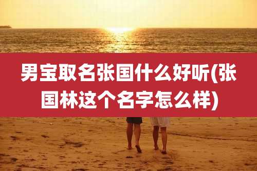 男宝取名张国什么好听(张国林这个名字怎么样)