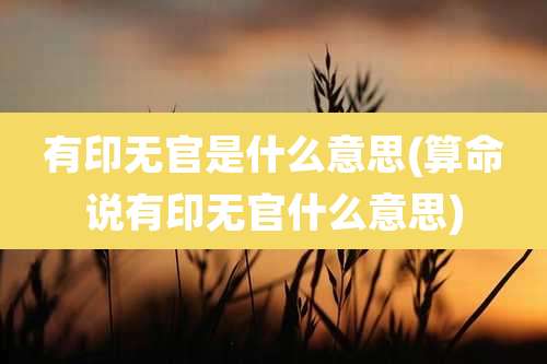 有印无官是什么意思(算命说有印无官什么意思)