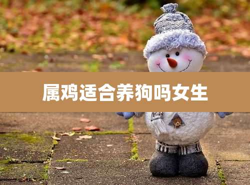 属鸡适合养狗吗女生