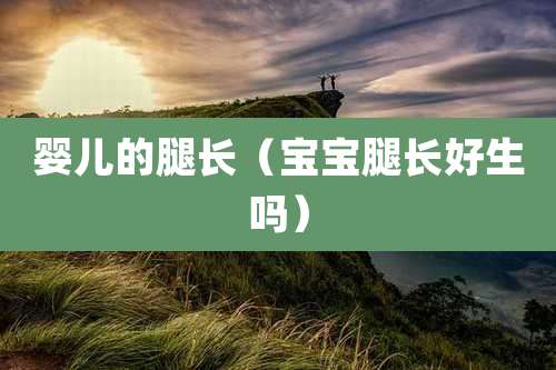 婴儿的腿长(宝宝腿长好生吗)