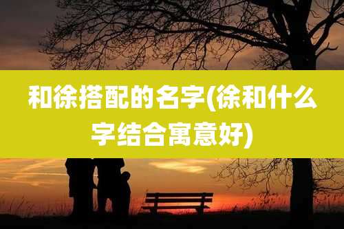 和徐搭配的名字(徐和什么字结合寓意好)