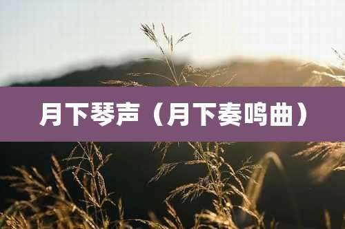 月下琴声(月下奏鸣曲)