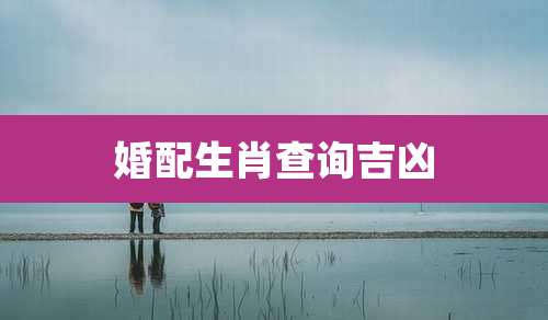 婚配生肖查询吉凶