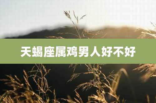 天蝎座属鸡男人好不好
