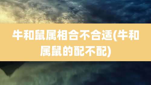 牛和鼠属相合不合适(牛和属鼠的配不配)