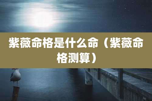 紫薇命格是什么命（紫薇命格测算）