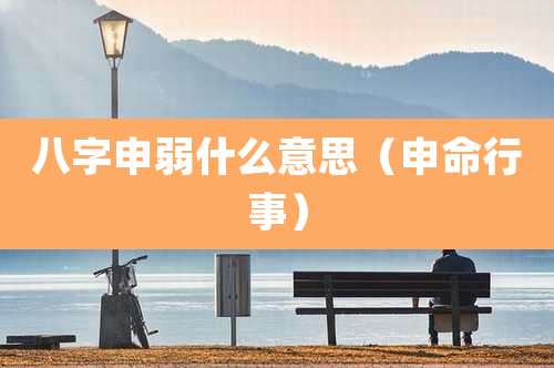 八字申弱什么意思(申命行事)