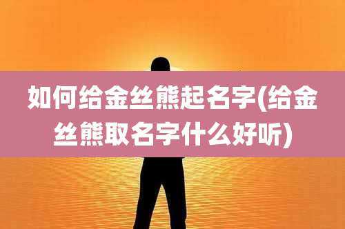 如何给金丝熊起名字(给金丝熊取名字什么好听)