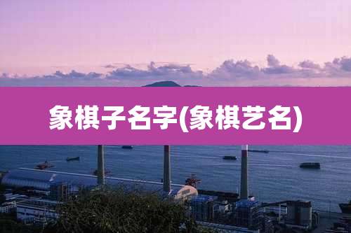 象棋子名字(象棋艺名)