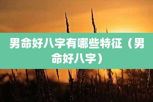 男命好八字有哪些特征(男命好八字)
