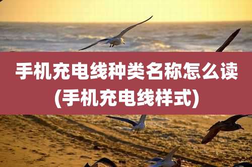 手机充电线种类名称怎么读(手机充电线样式)