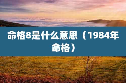 命格8是什么意思(1984年命格)