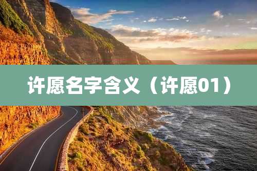 许愿名字含义(许愿01)