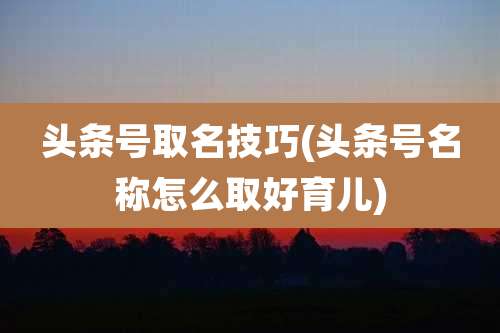 头条号取名技巧(头条号名称怎么取好育儿)