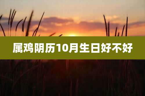 属鸡阴历10月生日好不好