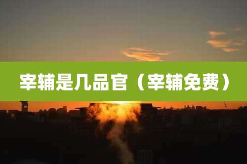 宰辅是几品官(宰辅免费)