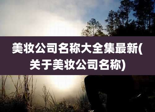 美妆公司名称大全集最新(关于美妆公司名称)