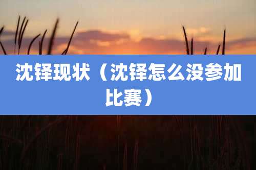 沈铎现状(沈铎怎么没参加比赛)