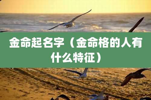 金命起名字(金命格的人有什么特征)