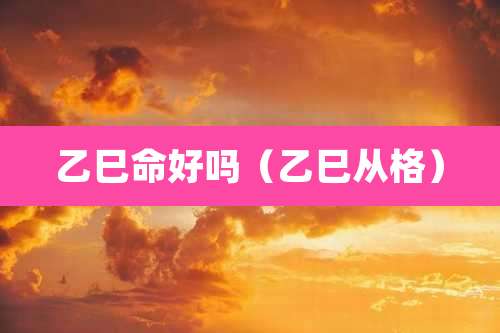 乙巳命好吗(乙巳从格)