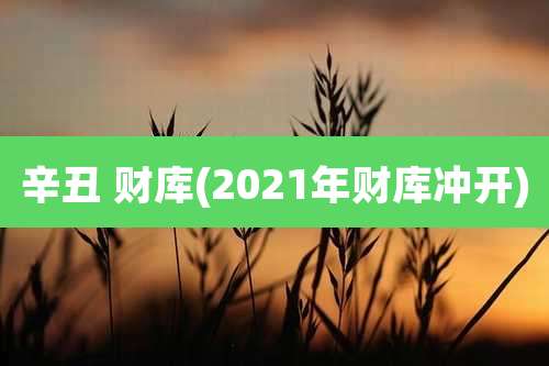 辛丑 财库(2021年财库冲开)