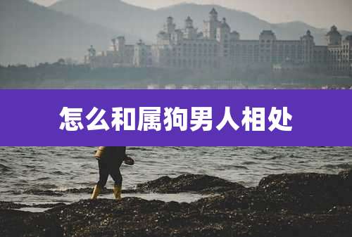 怎么和属狗男人相处