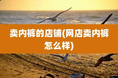 卖内裤的店铺(网店卖内裤怎么样)