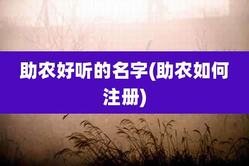 助农好听的名字(助农如何注册)