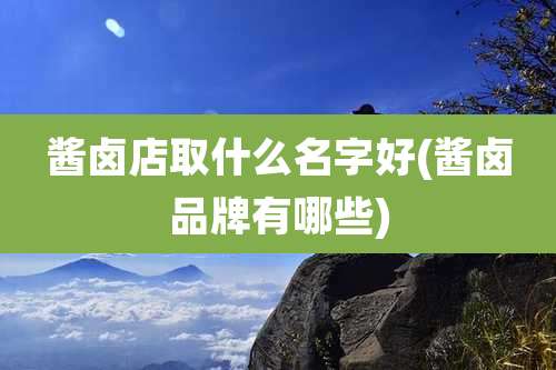 酱卤店取什么名字好(酱卤品牌有哪些)