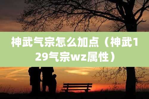 神武气宗怎么加点（神武129气宗wz属性）