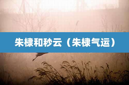 朱棣和秒云(朱棣气运)