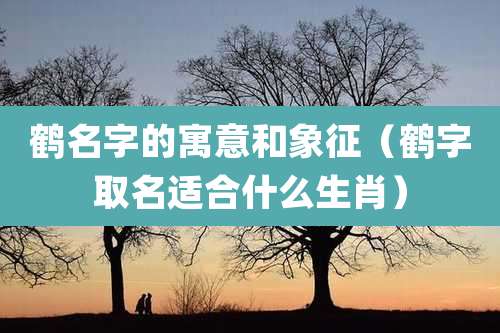 鹤名字的寓意和象征（鹤字取名适合什么生肖）