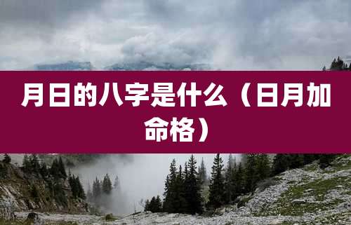 月日的八字是什么（日月加命格）