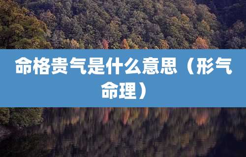 命格贵气是什么意思(形气命理)