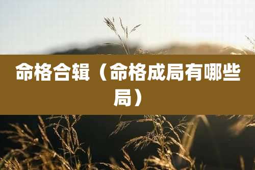 命格合辑（命格成局有哪些局）