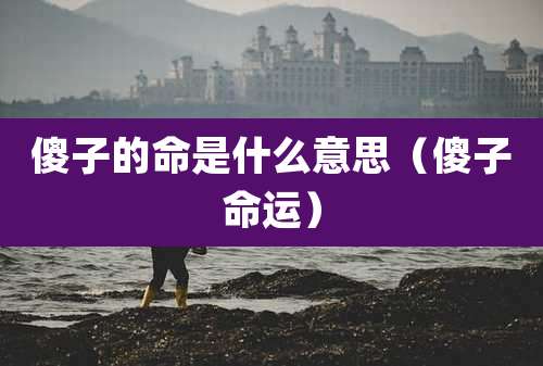 傻子的命是什么意思(傻子命运)