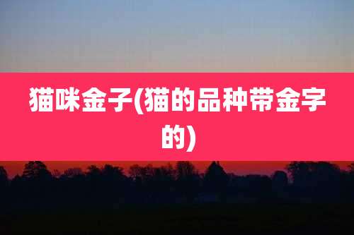 猫咪金子(猫的品种带金字的)