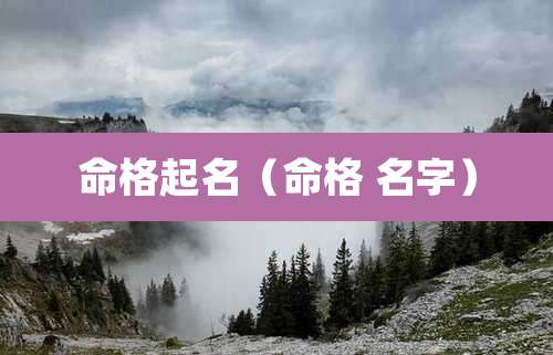 命格起名(命格 名字)